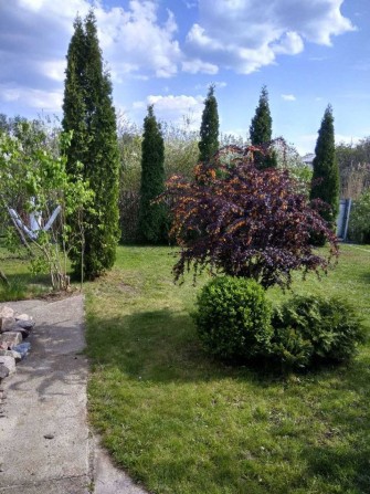 Срочная продажа дома с выходом на воду 20 км от Черкасс - фото 1