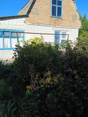 Дача в  садовому  товаристві  Машбуд - фото 1