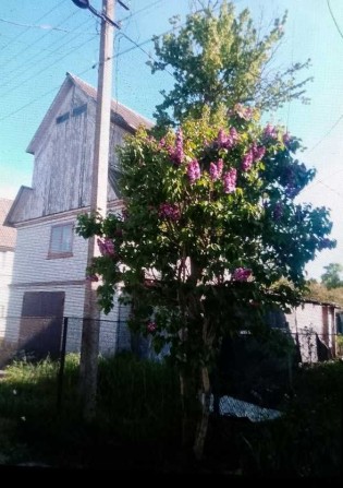 Продам дачу за Благодатним - фото 1