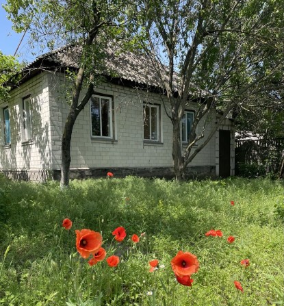 Продам будинок в с. Лозівок - фото 1