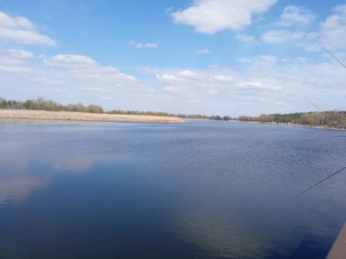 Продаж будинку, дачі с.Лозівок СТ Фотон - фото 1