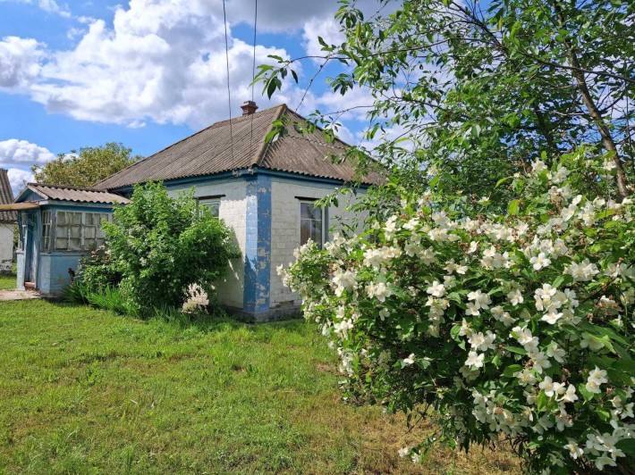 Пропонуємо до продажу будинок у с. Лозівок. - фото 1