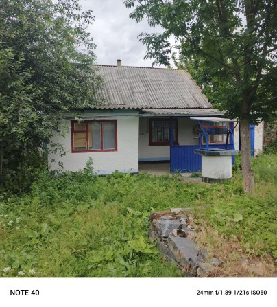 Продам врим'янку. - фото 1