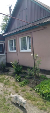 Два будинки на одній ділянці - фото 1