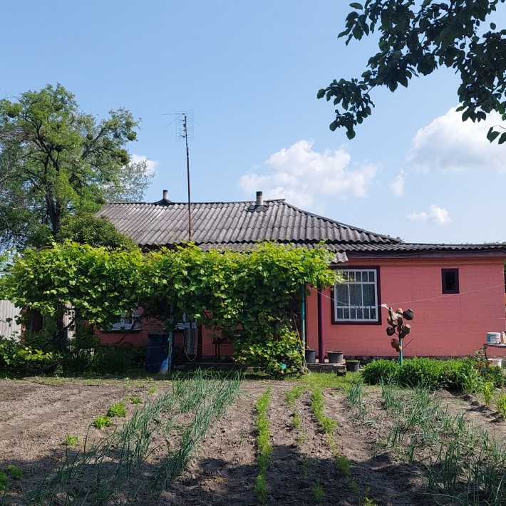 Продається будинок - фото 1