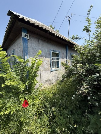 Продаж Будинку з ділянкою  33сотки, Нова Басань - фото 1