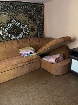 Оренда однокімнатного будинку (Времянка) на Тяжилові, Левка Лукʼяненка - фото 1