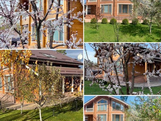 Здам в оренду будинок Київ