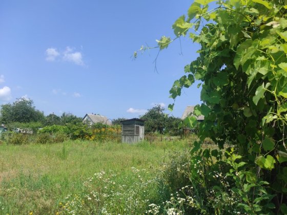 Дача, район Стара Подусівка, садове товариство " Мічуріна" Чернігів