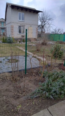 Продам дачу, Запорожская область,р-н.села Приднепровского - фото 1