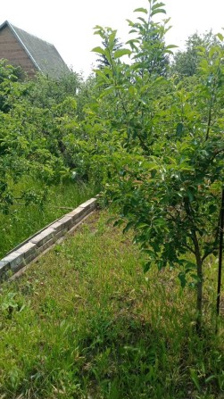 Продам ухоженную дачу Волоскоее - фото 1