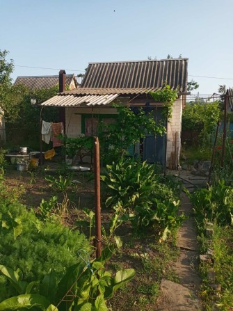 Продам дачу Днепровский р-н - фото 1