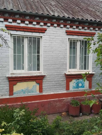 Продам окремий будинок - фото 1