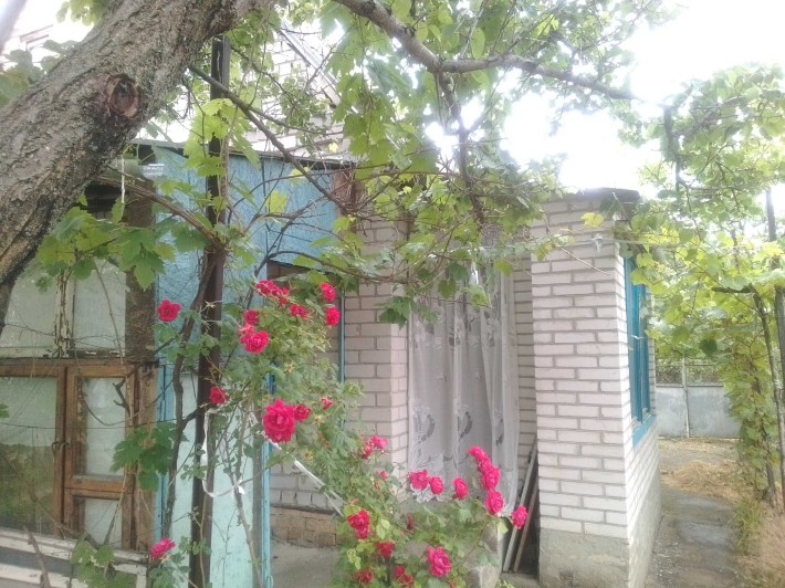 Будинок з ділянкою (дача) - фото 1