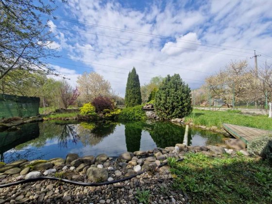 Продаж будинку на початку Минаю Ужгород