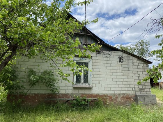 Будинок, земельна ділянка, капітальний гараж, дача. Дімітрова