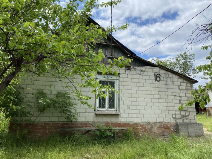 Будинок, земельна ділянка, капітальний гараж, дача. Дімітрова - фото 1