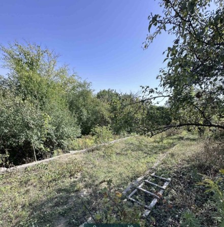 Реальная! Продам дом дачу в Краснополье - фото 1