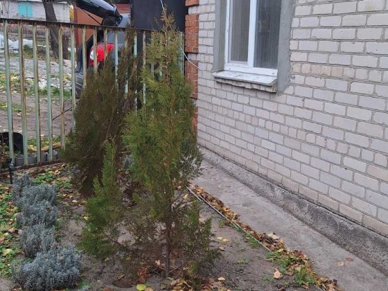 ЦЕНА ДО КОНЦА ОКТЯБРЯ. Дальше будет подиматся Дача Владимирское Гадючь