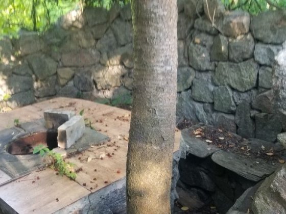 Дачу продам обменяю