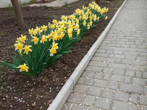 Продам 1/2 часть дома