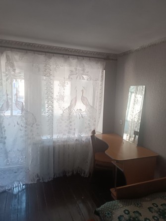 Здам 1-к. квартиру в центрі міста - фото 1