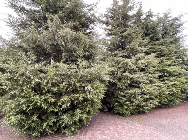 Продажа дома с мебелью и техникой - фото 1