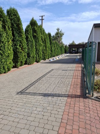 Здається Таунхаус в довгострокову оренду С.Фурси - фото 1