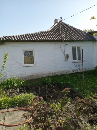 Продам дом (Диевка), собственник - фото 1