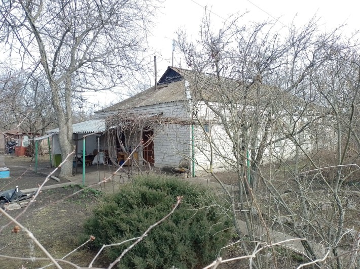 Продам дом с большим участком земли - фото 1