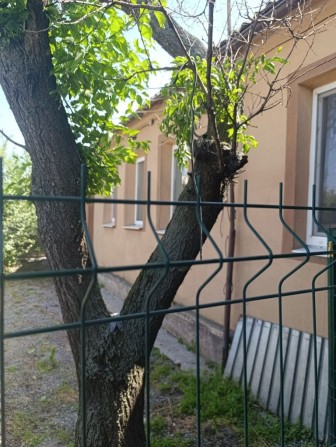 Продам дом в Жихаре (Центр) - фото 1