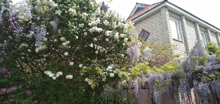 Продам дом на берегу лимана. - фото 1