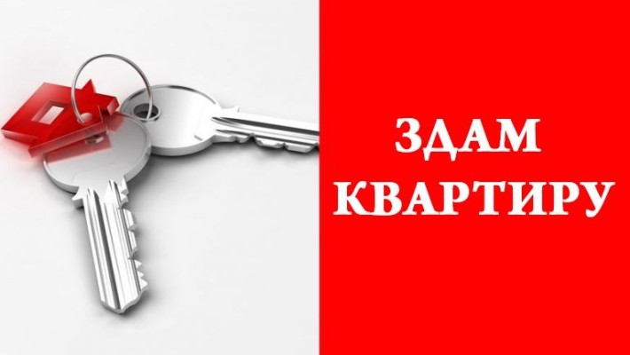 Здам в оренду квартиру - фото 1