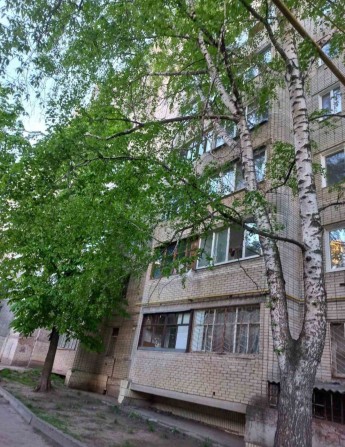 Здам 1-но кімнатну квартиру в и.Суми ! - фото 1
