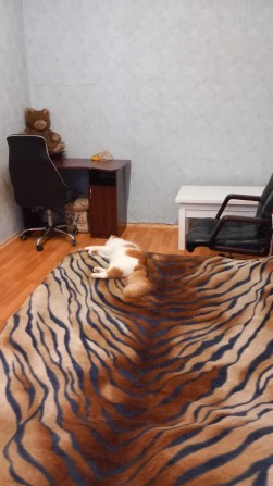 аренда квартиры в харькове 3х комнатная 70m² Центр, безопастный район! - фото 1