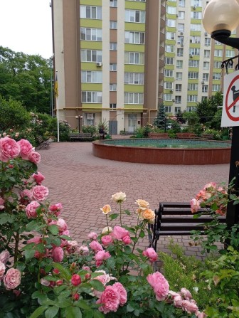 Оренда 1к студії - фото 1
