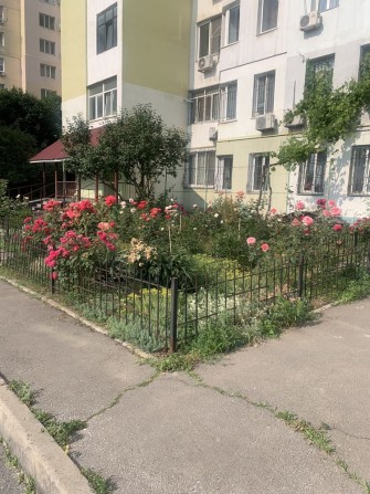 Королева / тополева 4 комнатная каартра - фото 1