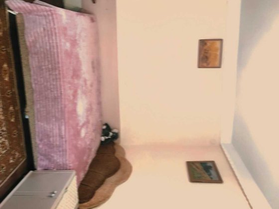 Здам 1-кімнатну  затишну квартиру в центрі Канева Канев