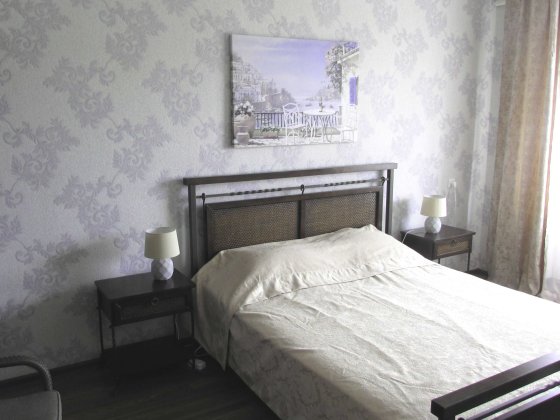 Новий рік 3ка Апартаменты Центр Зыгина Киевский вокзал, трцКиев Полтава