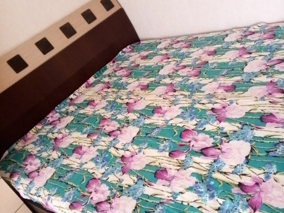 Посуточно Червоний камінь 8 Дніпро