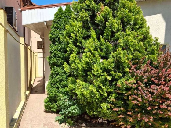 Сдам посуточно у моря домик, Аркадия. Аренда Одесса