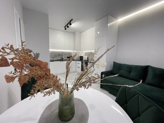 Подобова оренда апартаментів Пасічна/Зелена/Вікінг/IQ PARK Львов