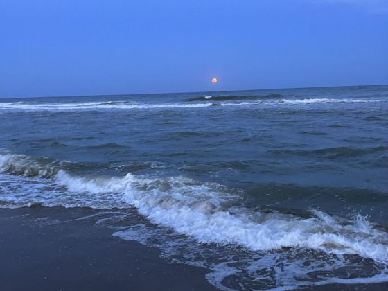 Апартаменти на першій лінії моря Затока