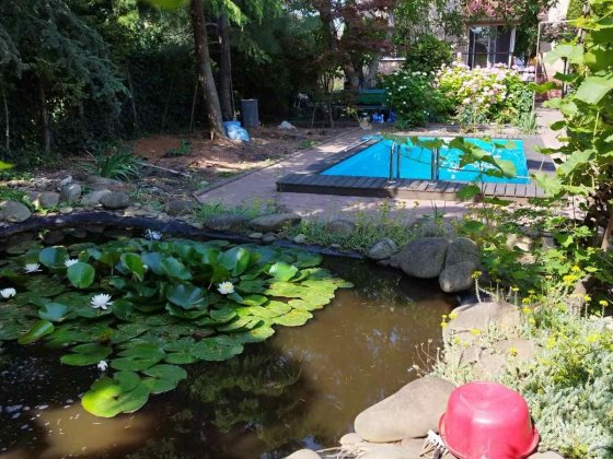 Дом у моря с бассейном Чорноморськ