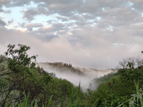 Еко садиба Джерело Гармонії, сімейний відпочинку на природі, Канів Канев
