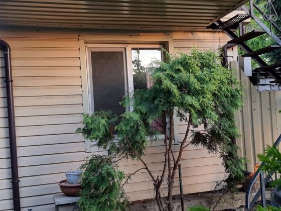 Домики посуточно, почасово