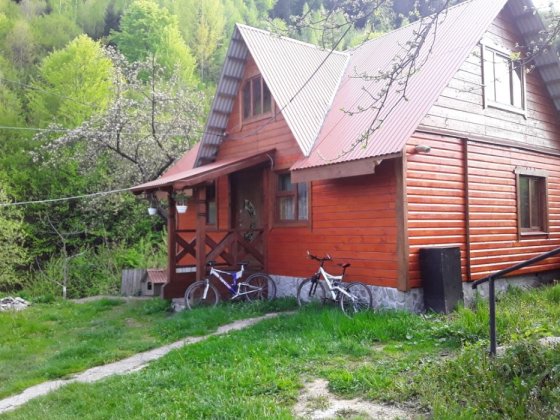 Будиночок деревяний недалеко річки та лісу гарний краєвид Яремче