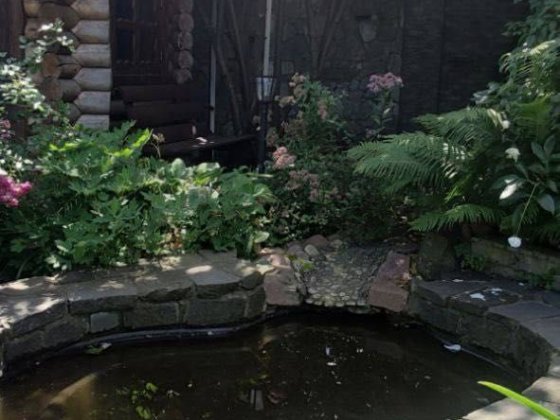 Будиночок біля води, з банею, більярдом та мальовничою природою Київ