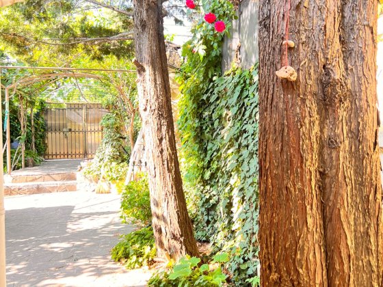 Будинок подобово в Одесі біля пляжу Золотий Берег Одеса