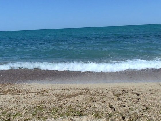 Сдам курень! Первая линия от моря! Дача Ковалевского! Одесса